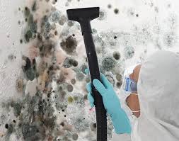 Best Industrial Mold Remediation in Edgemoor, DE